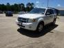 2008 Oxford White /Camel Ford Escape 4WD 4dr I4 Auto XLT (1FMCU93Z98K) with an 2.3L 4Cyl engine, Automatic transmission, located at 6904 Johnston St., Lafayette, LA, 70503, (337) 988-1960, 30.143589, -92.100601 - Photo#5