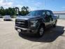 2015 Gray /Dark Earth Gray Ford F-150 2WD SuperCab 145 XL (1FTEX1CP0FK) with an 2.7L 6 Cyl engine, 6 Spd Automatic transmission, located at 6904 Johnston St., Lafayette, LA, 70503, (337) 988-1960, 30.143589, -92.100601 - Photo#5