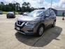 2019 Brilliant Silver Metallic /Almond Nissan Rogue AWD SV (KNMAT2MV1KP) with an 2.5L 4Cyl engine, Automatic transmission, located at 6904 Johnston St., Lafayette, LA, 70503, (337) 988-1960, 30.143589, -92.100601 - Photo#5