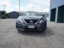 2017 Grey /Beige Nissan Altima 2.5 SL Sedan (1N4AL3AP2HC) with an 2.5L 4Cyl engine, Automatic transmission, located at 6904 Johnston St., Lafayette, LA, 70503, (337) 988-1960, 30.143589, -92.100601 - Photo#3