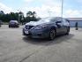 2017 Grey /Beige Nissan Altima 2.5 SL Sedan (1N4AL3AP2HC) with an 2.5L 4Cyl engine, Automatic transmission, located at 6904 Johnston St., Lafayette, LA, 70503, (337) 988-1960, 30.143589, -92.100601 - Photo#5