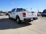 2017 White Ford F-150 (1FTEW1C8XHF) with an 3.5L 6 Cyl engine, Automatic transmission, located at 6904 Johnston St., Lafayette, LA, 70503, (337) 988-1960, 30.143589, -92.100601 - Prices are subject to change as improvements done by the service dept. Prices are for Cash sales only, Plus TTL. This Vehicle is Serviced well and Warranties Available too. Easy Financing. Drives Great and everything works. Price subject to change as improvements done by the service dept. Easy CR - Photo#8