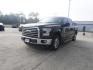 2016 Blue Ford F-150 (1FTEW1CGXGK) with an 3.5L 6 Cyl engine, 6 Spd Automatic transmission, located at 6904 Johnston St., Lafayette, LA, 70503, (337) 988-1960, 30.143589, -92.100601 - Prices are subject to change as improvements done by the service dept. Prices are for Cash sales only, Plus TTL. This Vehicle is Serviced well and Warranties Available too. Easy Financing. Drives Great and everything works. Price subject to change as improvements done by the service dept. Easy CR - Photo#5