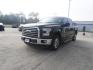 2016 Blue /Dark Earth Gray Ford F-150 2WD SuperCrew 157 XL (1FTEW1CGXGK) with an 3.5L 6 Cyl engine, Automatic transmission, located at 6904 Johnston St., Lafayette, LA, 70503, (337) 988-1960, 30.143589, -92.100601 - Photo#5