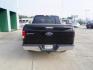 2016 Blue /Dark Earth Gray Ford F-150 2WD SuperCrew 157 XL (1FTEW1CGXGK) with an 3.5L 6 Cyl engine, Automatic transmission, located at 6904 Johnston St., Lafayette, LA, 70503, (337) 988-1960, 30.143589, -92.100601 - Photo#9