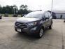 2020 Gray /Ebony Black Ford EcoSport SE FWD (MAJ3S2GE5LC) , Automatic transmission, located at 6904 Johnston St., Lafayette, LA, 70503, (337) 988-1960, 30.143589, -92.100601 - Photo#4